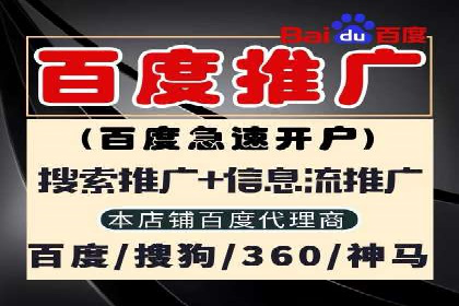 成功案例：信息流广告的创意与市场反应